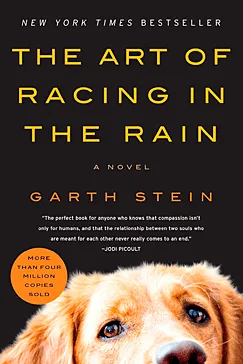 The Art of Racing in the Rain - Garth Stein