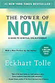 The Power of Now book series in order